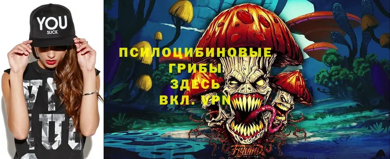 ОМГ ОМГ   Чехов  Галлюциногенные грибы Psilocybe  купить  